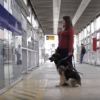 Video: Persons with Disabilities and Lima’s Metropolitano