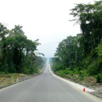 Deforestación Cero y el Banco Mundial: La conservación de los bosques es esencial
