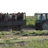 Inspection Panel releases Eligibility Report on Uzbek agriculture project