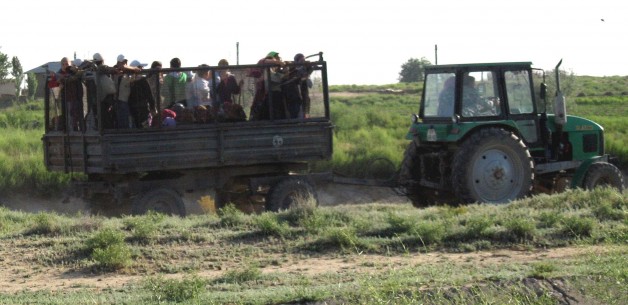 Inspection Panel releases Eligibility Report on Uzbek agriculture project