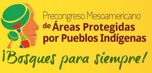 The Mesoamerican Pre-Congress of Areas Protected by Indigenous Peoples: “Forests Forever”