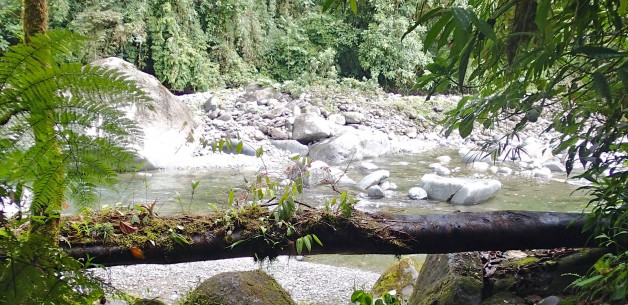 BIC publishes study on indigenous peoples’ participation in REDD+ in Costa Rica