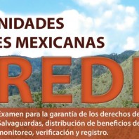 La Sociedad Civil mexicana publica un análisis detallado del marco jurídico mexicano en el contexto de los derechos de las comunidades y REDD+