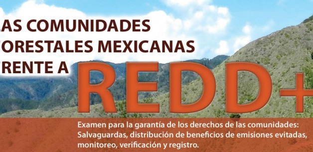 Mexican Civil Society releases detailed analysis of the Mexican legal framework in the context of REDD+ and community rights