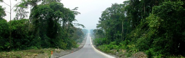 Deforestación Cero y el Banco Mundial: La conservación de los bosques es esencial