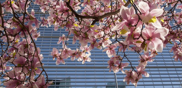 What to look forward to at the World Bank 2016 Spring Meetings