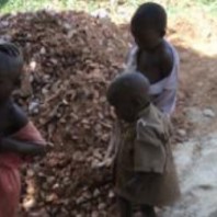 Case Study on Bujagali Dam’s negative impacts on children submitted to the World Bank