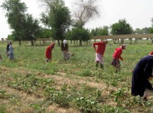 Uzbekistan Rural Enterprise Support Project