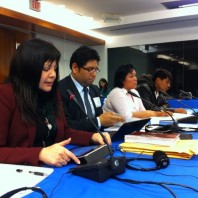 AIDESEP reclama a la CIDH la situación de los pueblos indígenas en aislamiento voluntario en Perú
